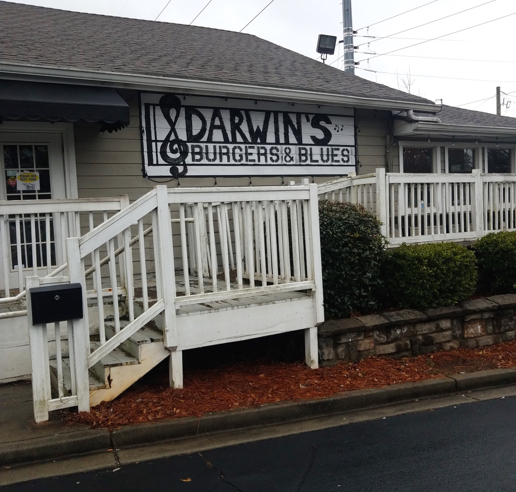 NO MONKEYING AROUND: Darwin’s serves up diverse roots music.