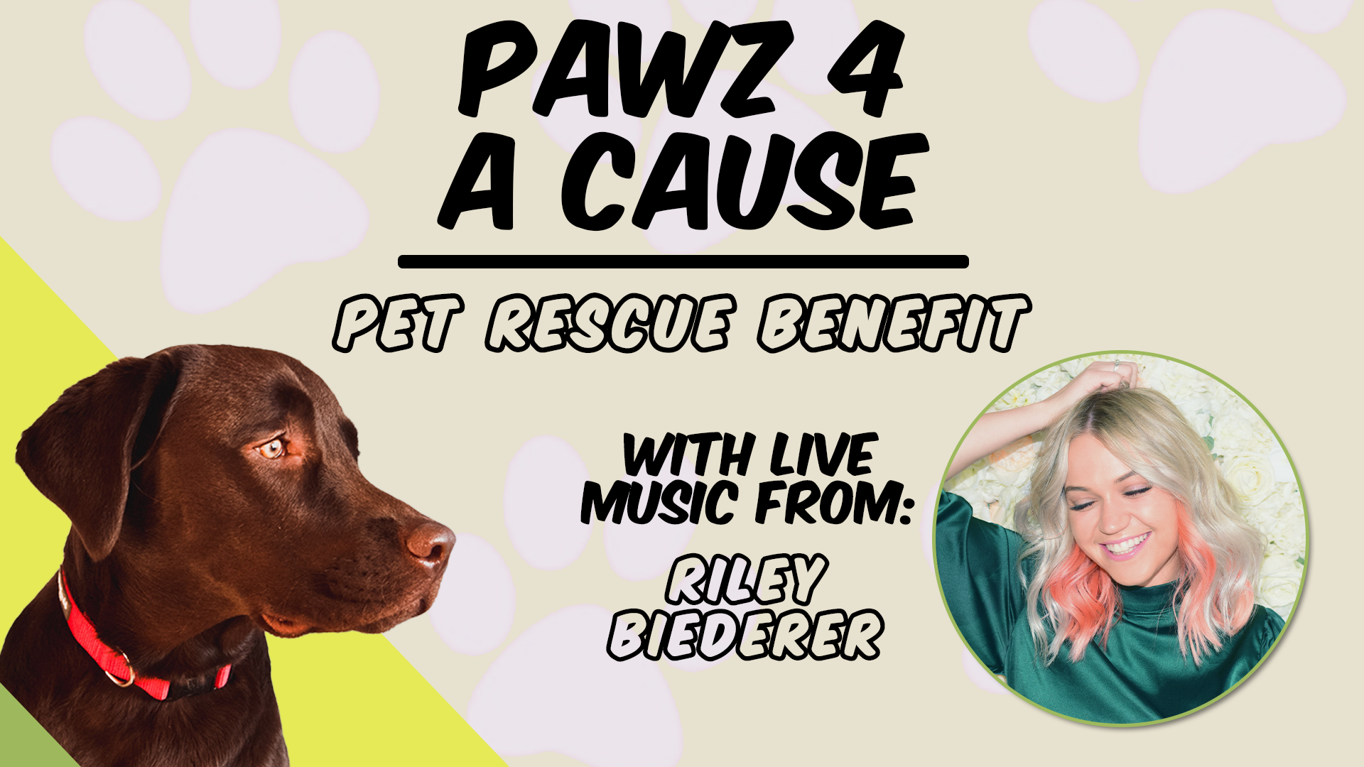 Pawz 4 A Cause Creative Loafing