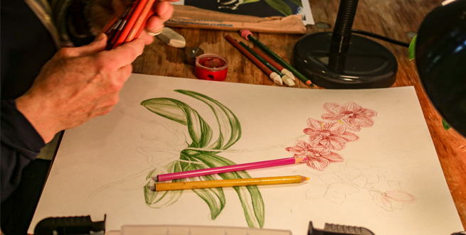 Drawing Colored Pencil1