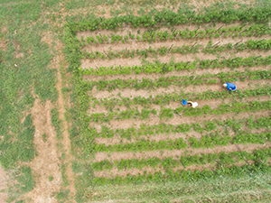 Oral Readers Love 300