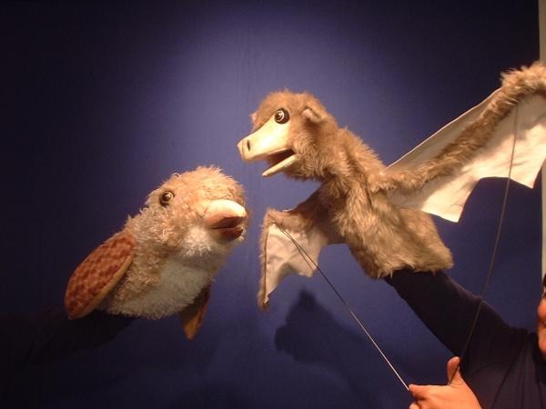 Flitter And Stellaluna