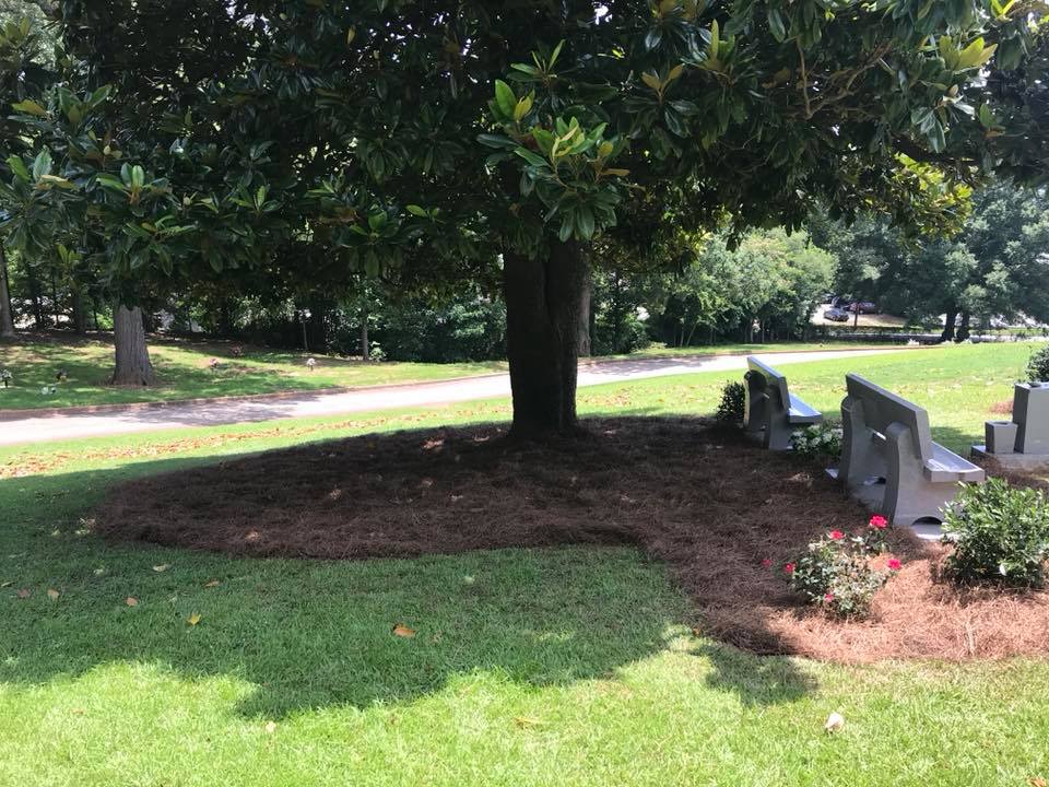 35747328 1723649701004395 5559684011887951872 N