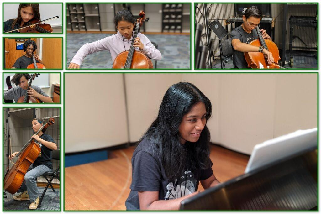 Collage 4 Up Close Pictures 2 1024x683