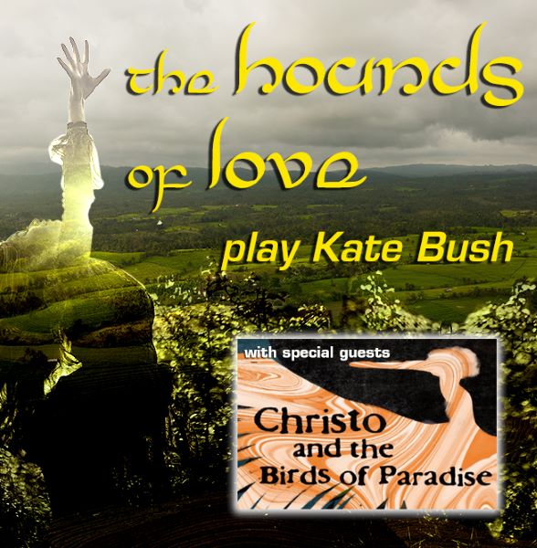 Hounds Christo