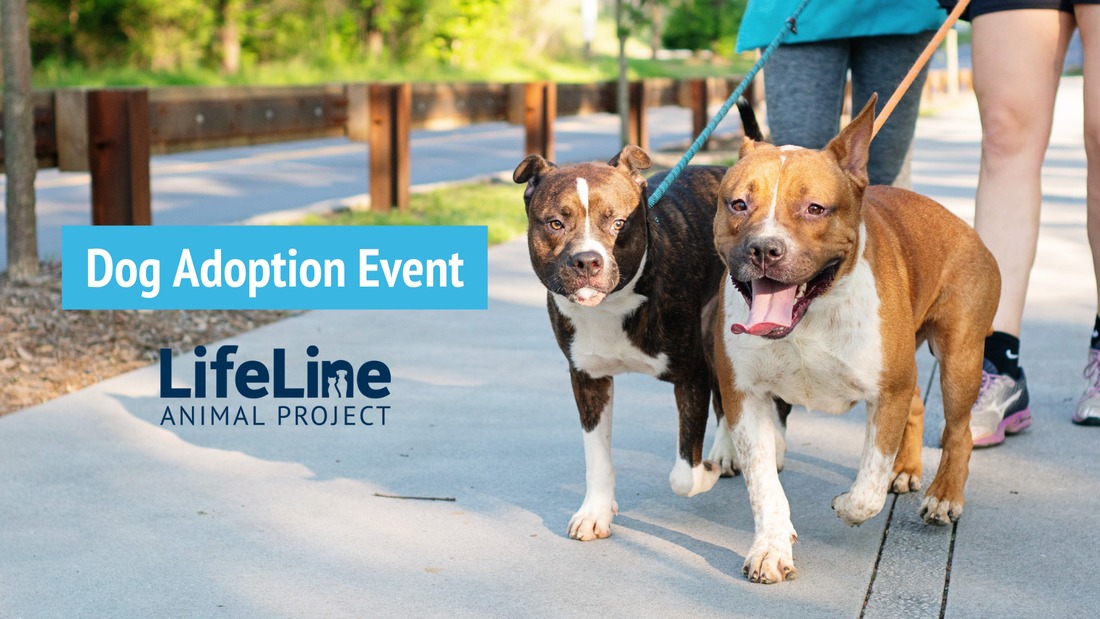 Wnvw6w66fcw8gvphhx3596w