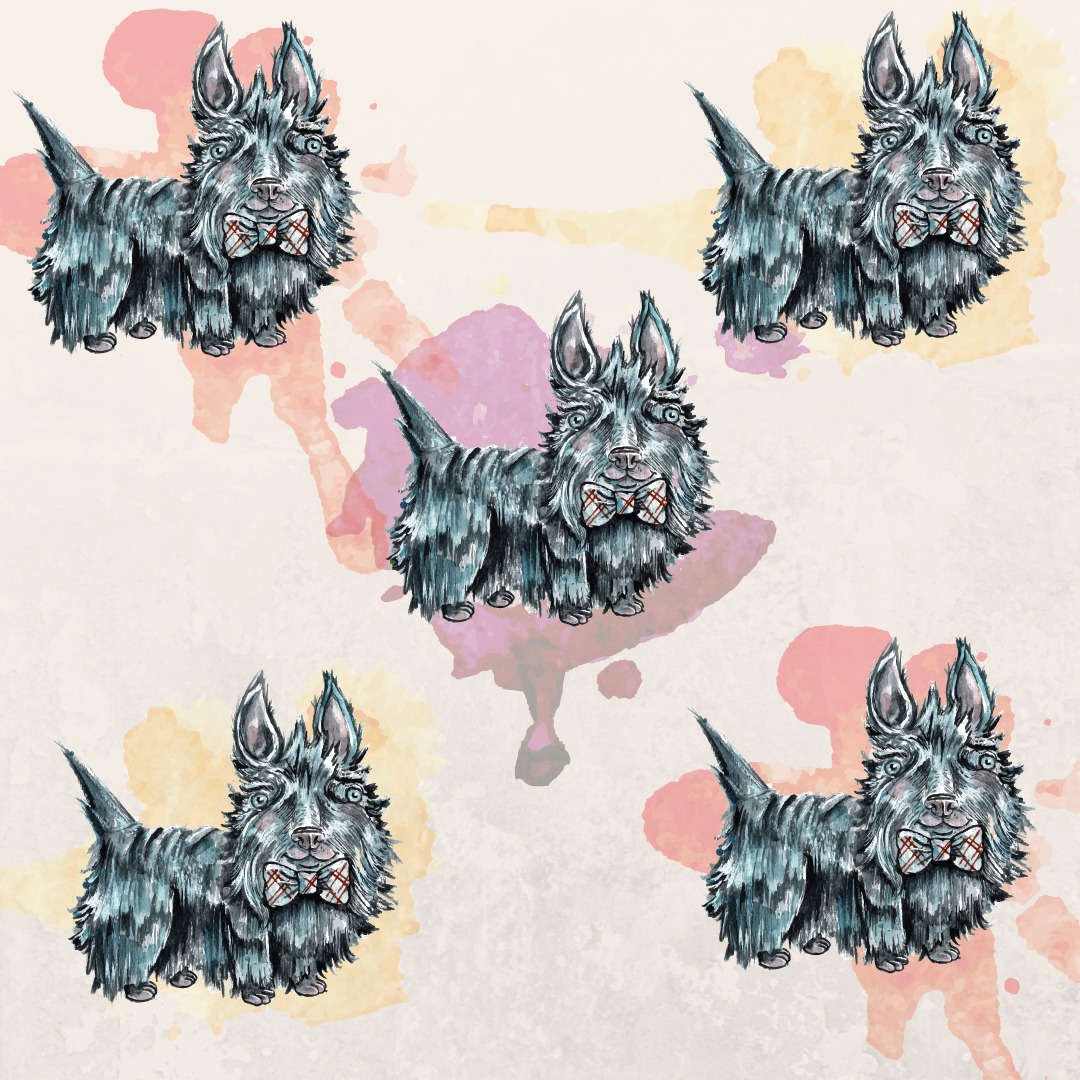 BBDK Variant All 3 Insta