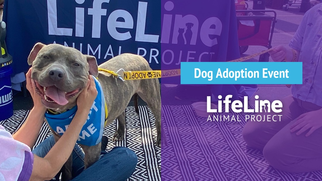 383crpmgqjw59gspb8rhsm9 (3)