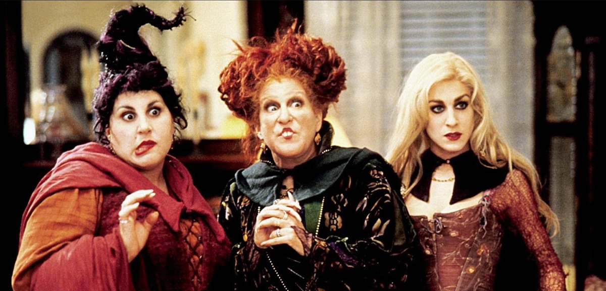 TST 001 WebSplash HocusPocus 072324