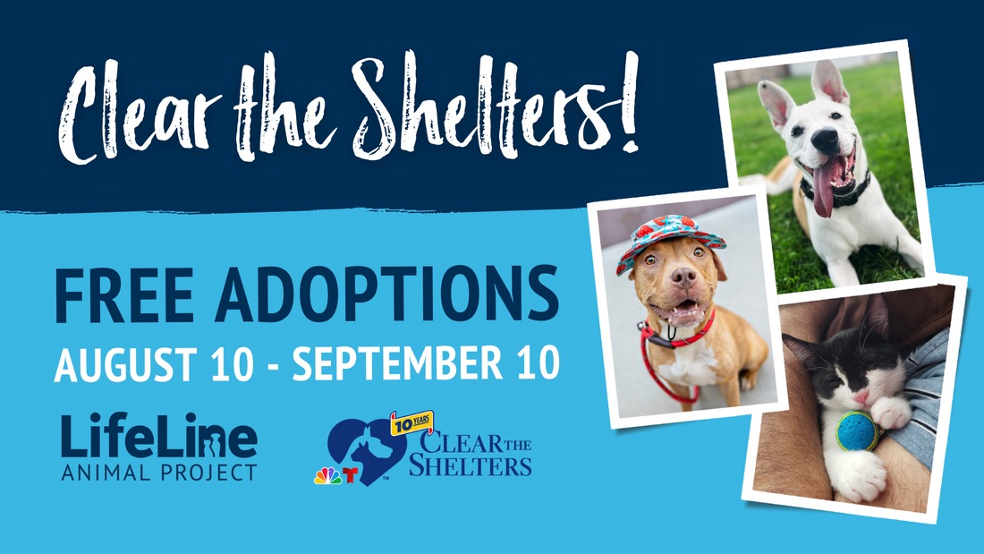 Clear the Shelters 2024 Creative Loafing