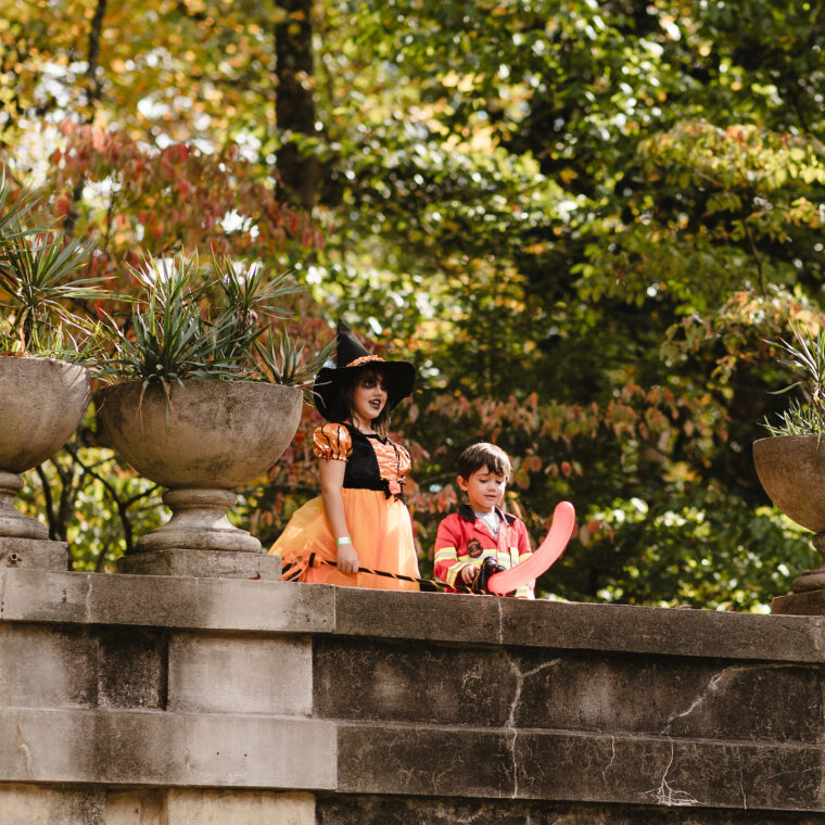 The Great Trick Or Treat 2023 47.jpg 760x760 1721923763