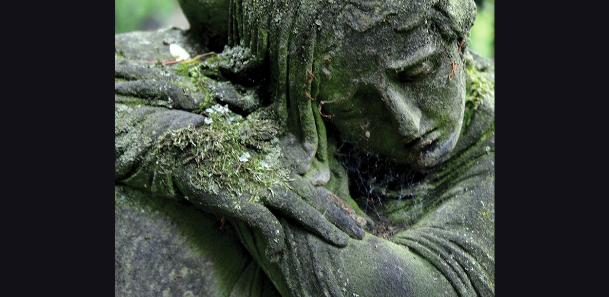 1250 X 610 Press Photo 2 9f0ff24f43