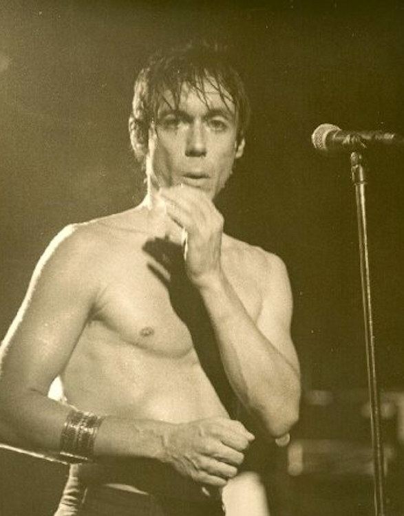 High Frequencies Iggy Pop Creative Loafing