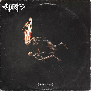 Apostle