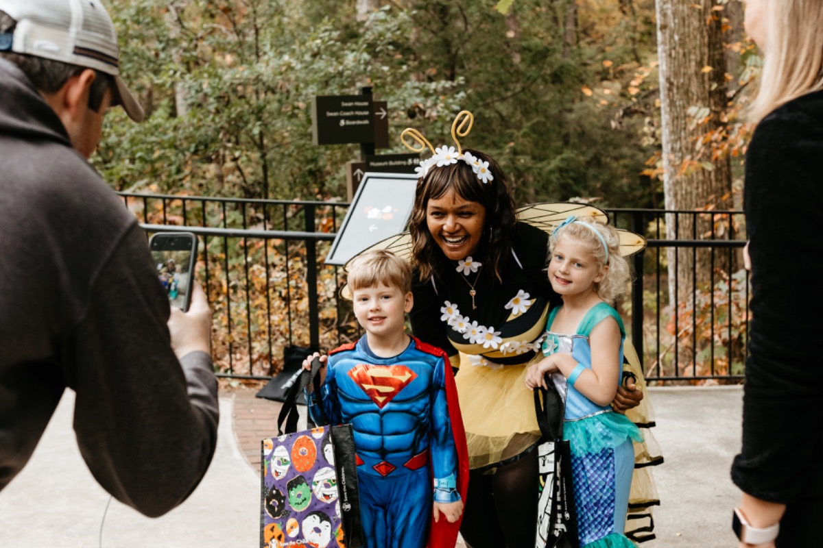 Great Trick Or Treat 1