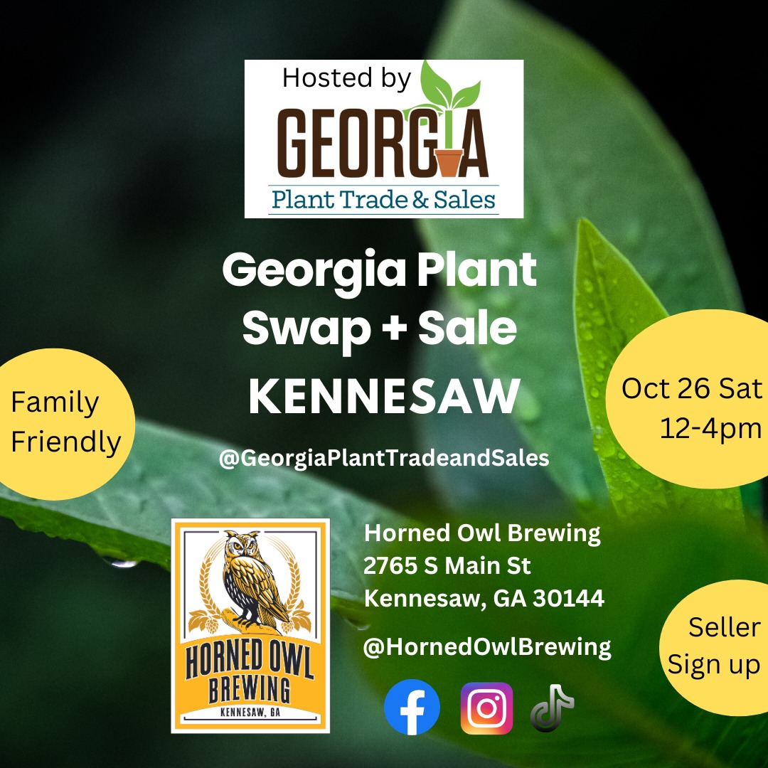 Horned Owl Oct262024