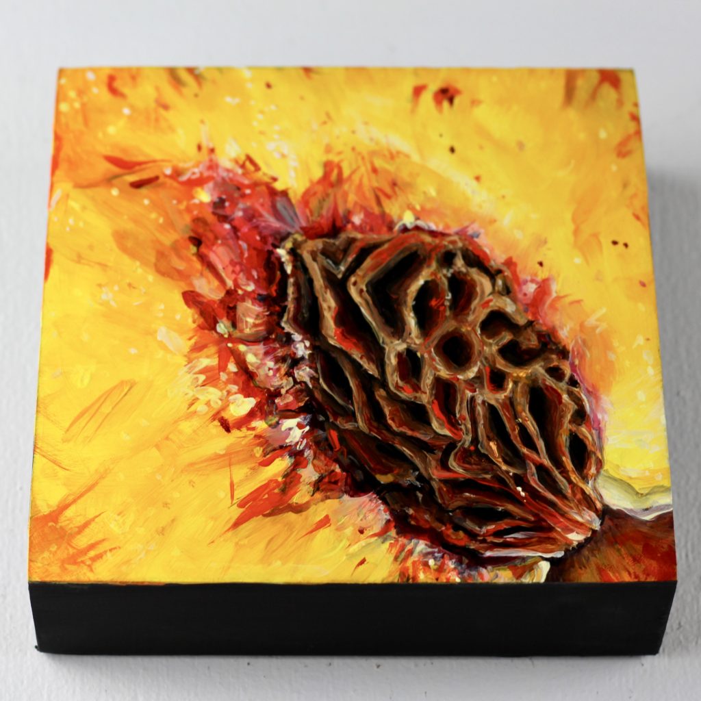 Fullsizeoutput 7063 1024x1024