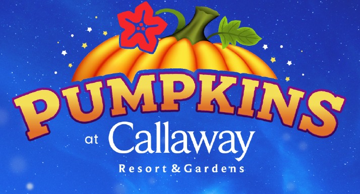 Pumpkins Logo Shot
