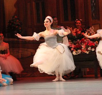 SwanLake355x330 Abe7e78ba8