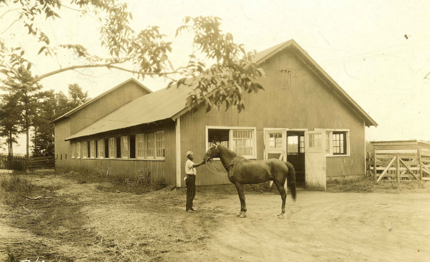 DHC Health And Happiness