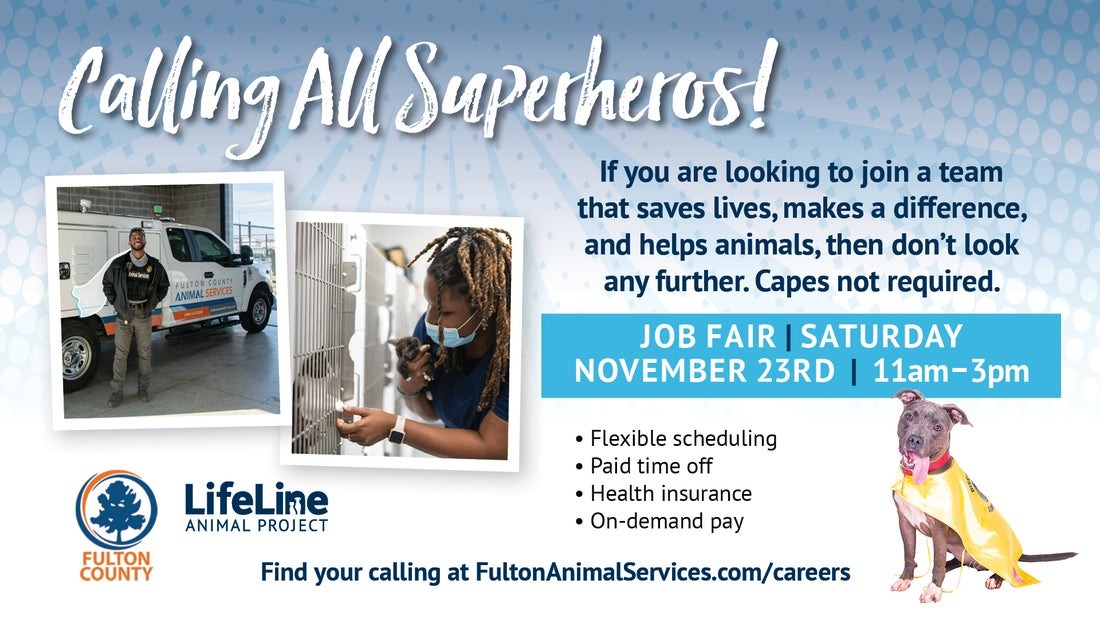 Job Fair