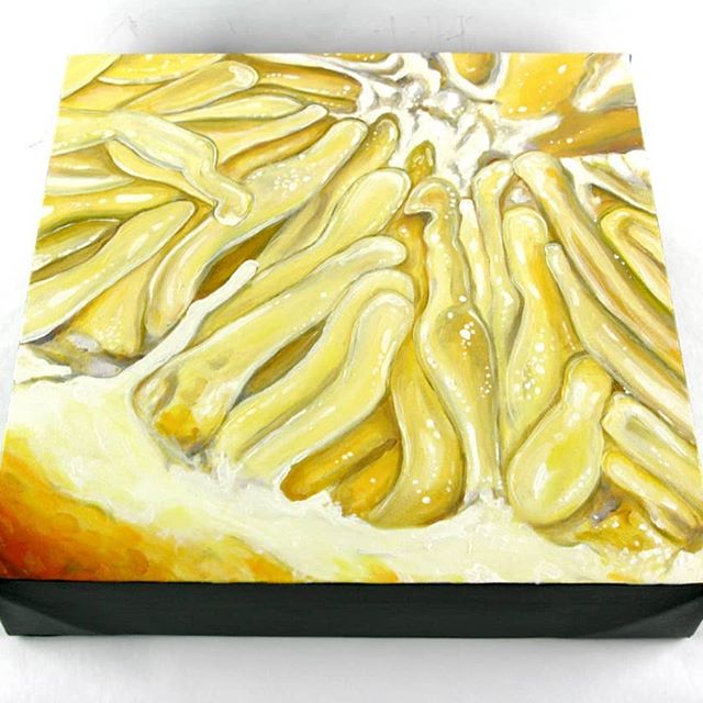 36979156 1652295024895875 2460326394370981888 N