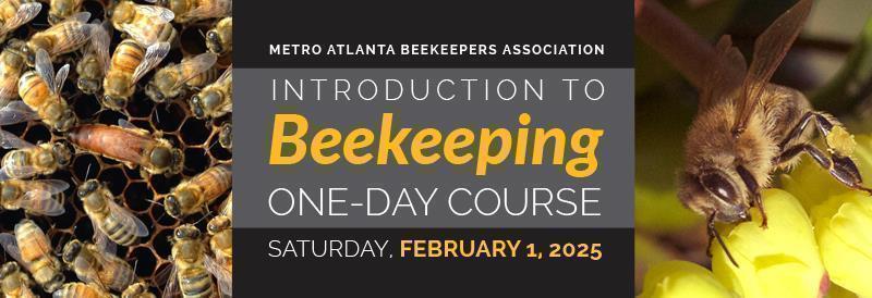 Beekeepingintro