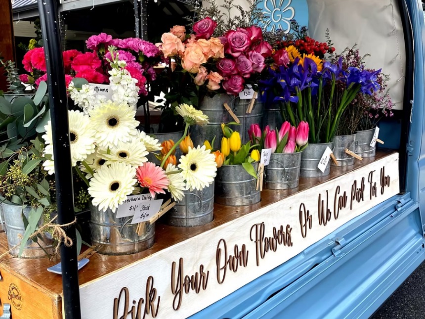 Galentine's Day Image