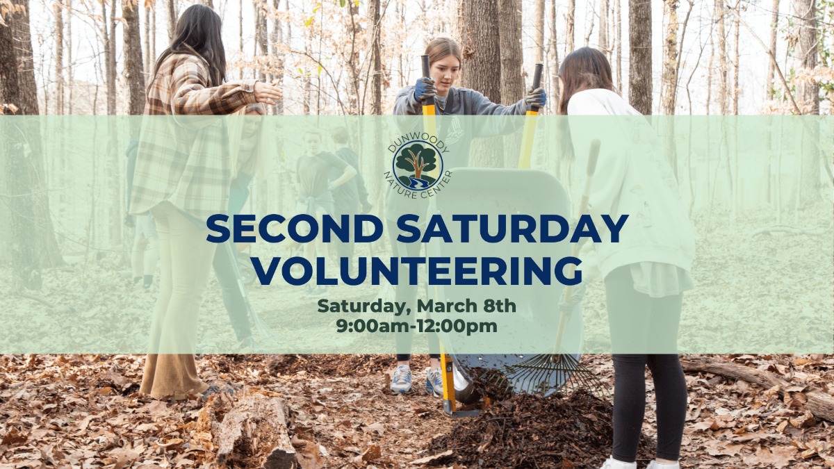 2025 03 Second Saturday Volunteers