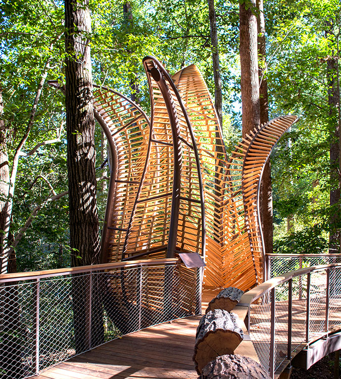 Fernbank Forest Walk | Creative Loafing