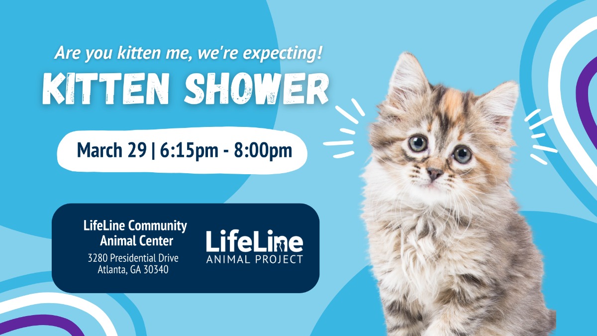 CAC Kitten Shower 2025 1920x1080