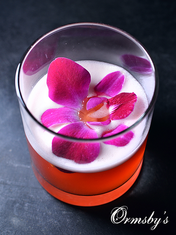 Southern Firebird   Ormsby's