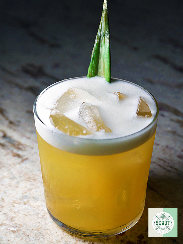 Little Bimini   Scout