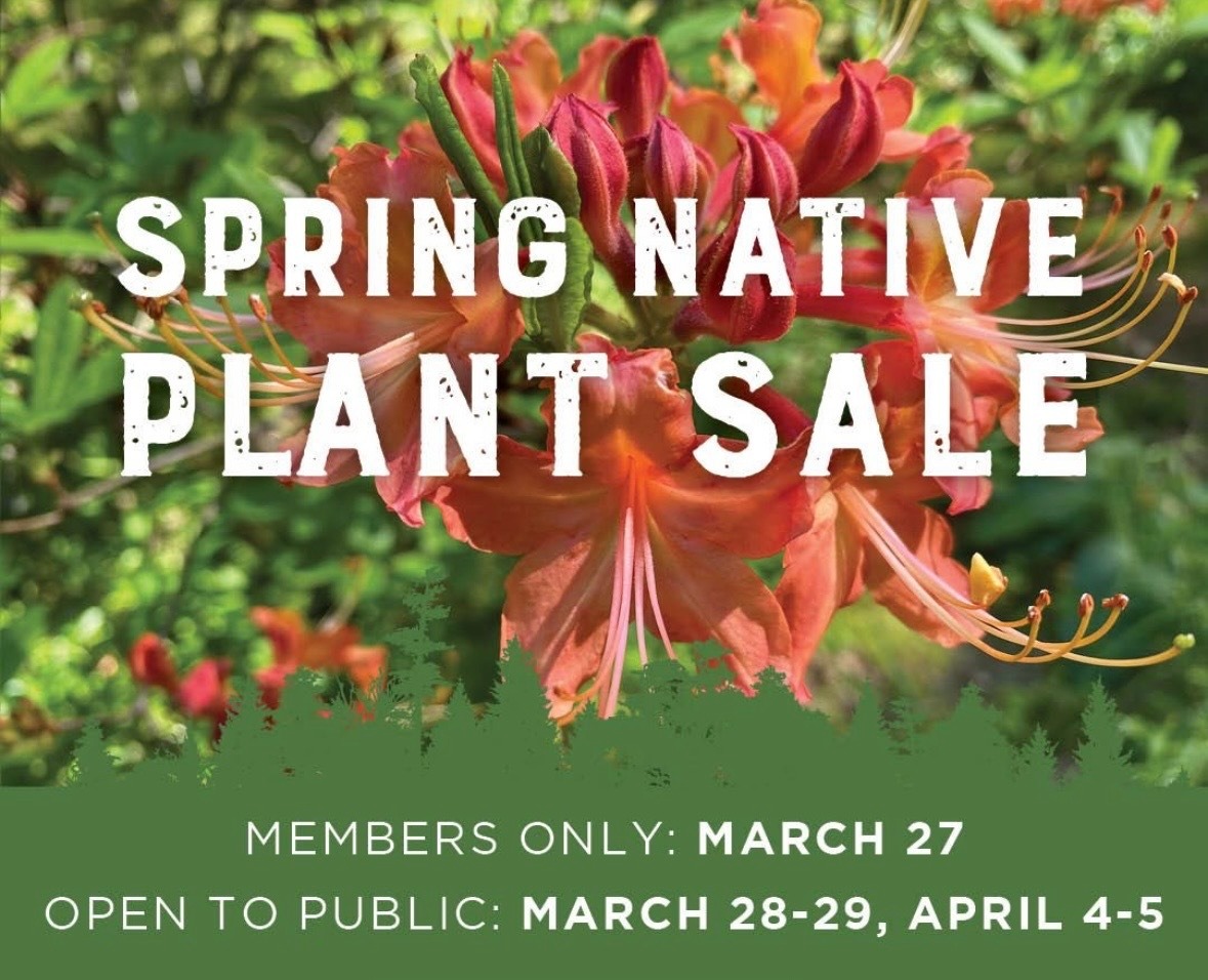 Plant Sale