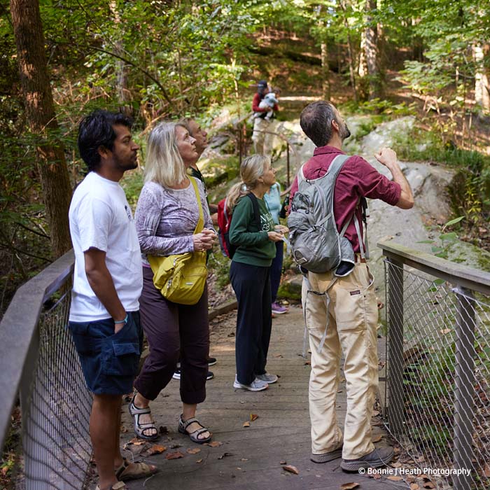 Fernbank Fernbankforest Guidedwalks Activitylisting 3