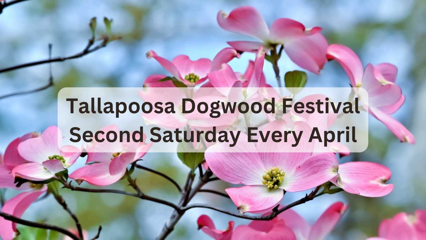 479663176 1138859721363616 5323171631404557996 N