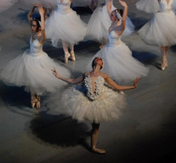 NEAB Swan Lake Website Thumbnail Ee8d11a191
