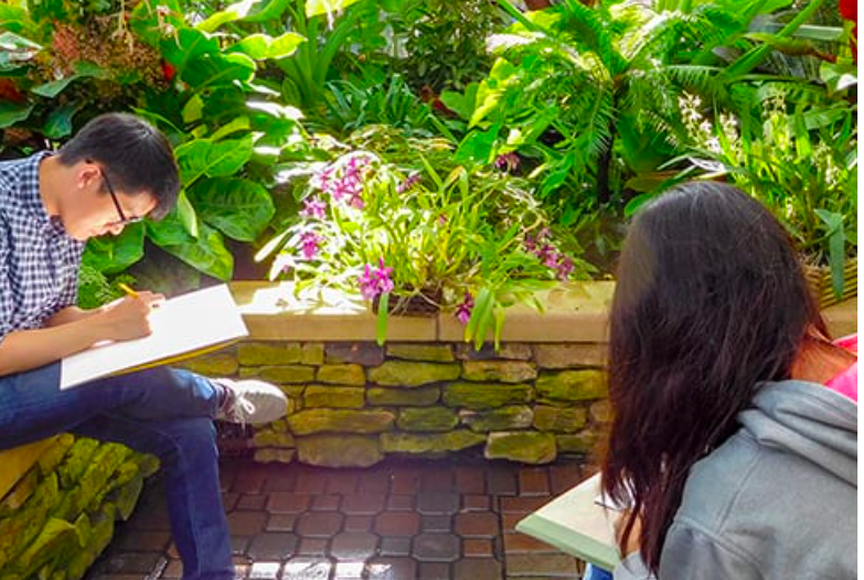 Drawing Class
