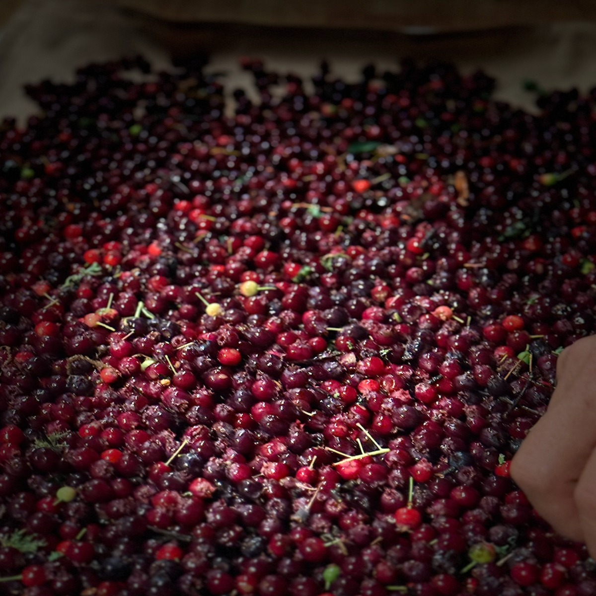 Screenshot 2025 05 10 At 6.17.56 PM