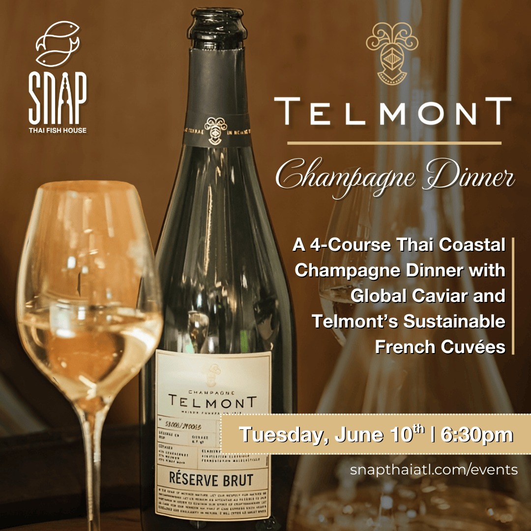 Telmont Square 1080x1080 (1)