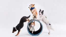 D28e9c50 Afec 4849 Ab14 1454ba73ad2d