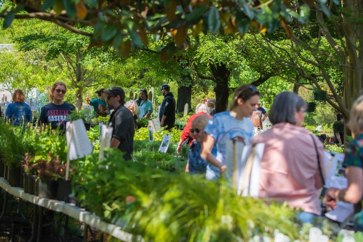 Spring Plant Sale 2023 11