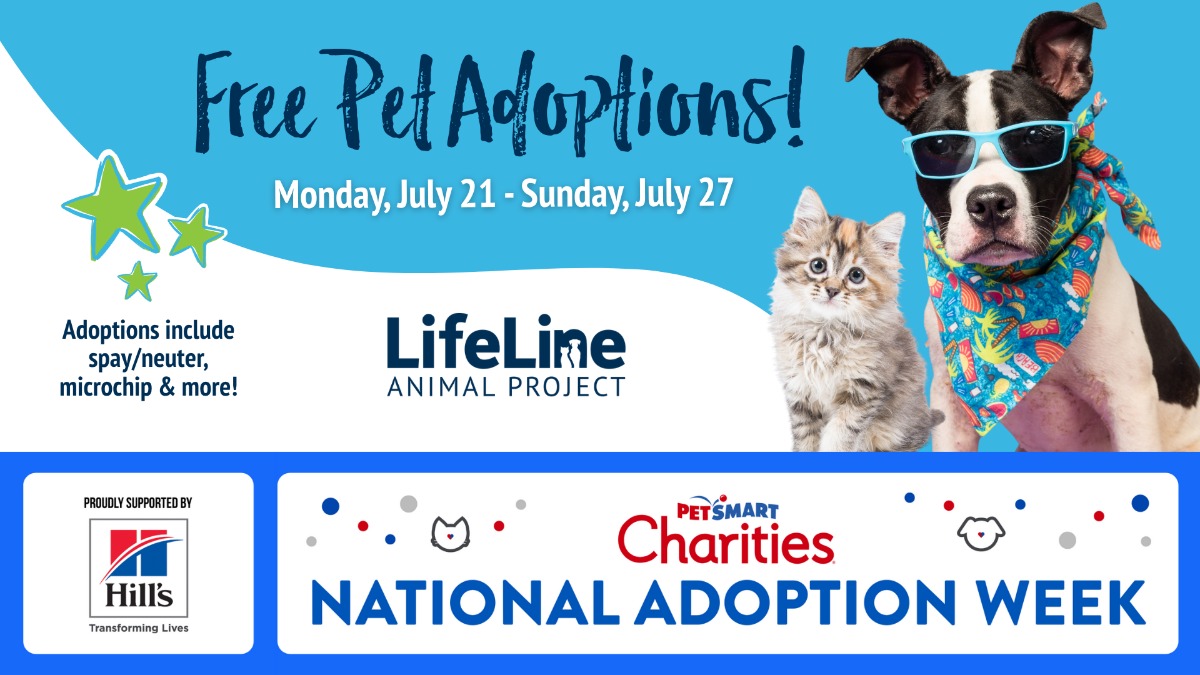 National Adoption Week 2025 | 07/21/2025 11:00 AM | Creative Loafing