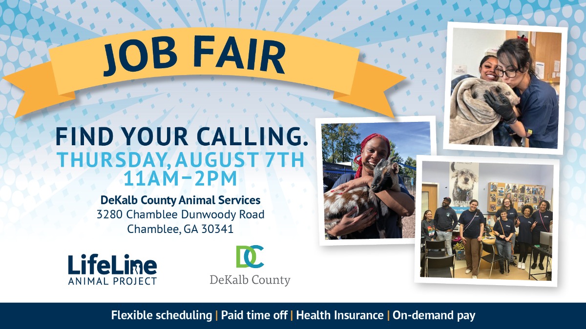 4113ll DCAS Job Fair 7 25 SMP F 1920x1080