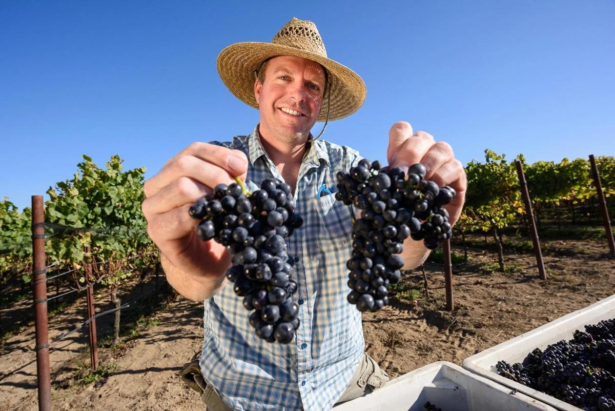 Bohème Wines   English Hill Vineyard 2