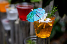 Savannanights Promo ZA 2T0A9239 270x180