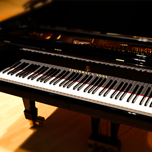 DgAv6Wg3M8jSmyI6kv 95vPC