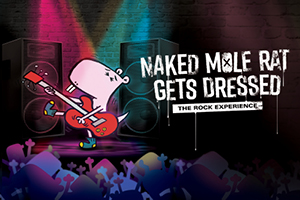 25 26 TNEW 300x200 NMR