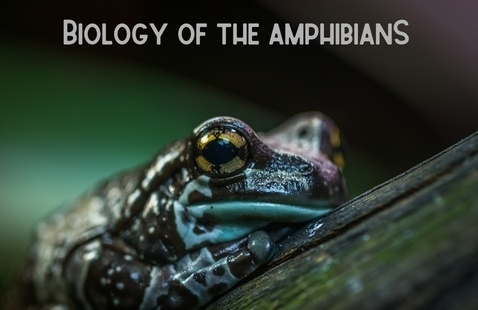 A98c0fc2eae56a79d3aebff74c29d44c4eb098be