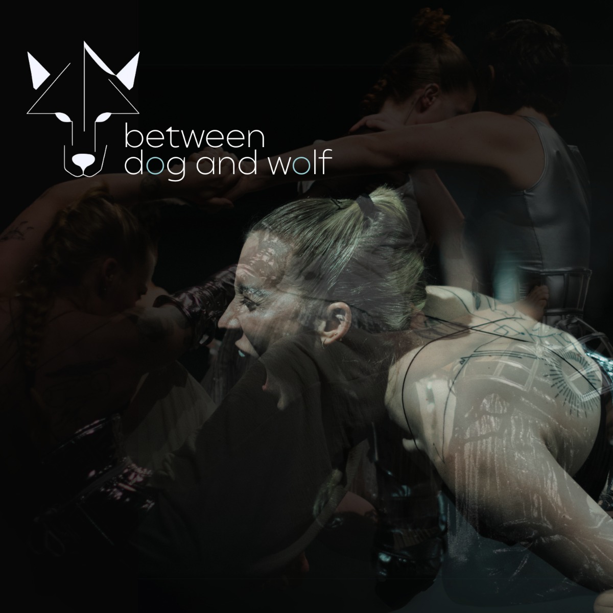 Between Dog And Wolf PROMO IMAGE