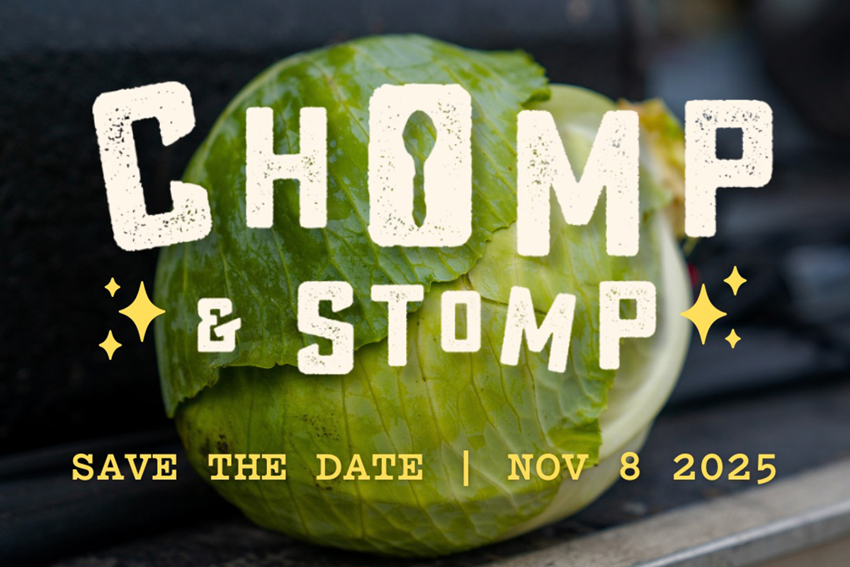 Chomp & Stomp 2025 Image